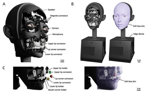 當硅基面孔學會自然流露 AI驅動的人臉機器人登上《科學·機器人》封面